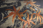 Detail bb-black